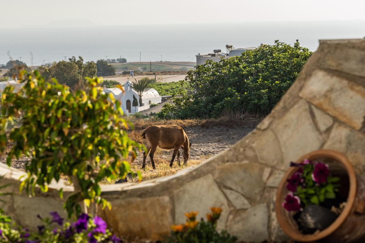 קרטראדוס Stavros Villas מראה חיצוני תמונה